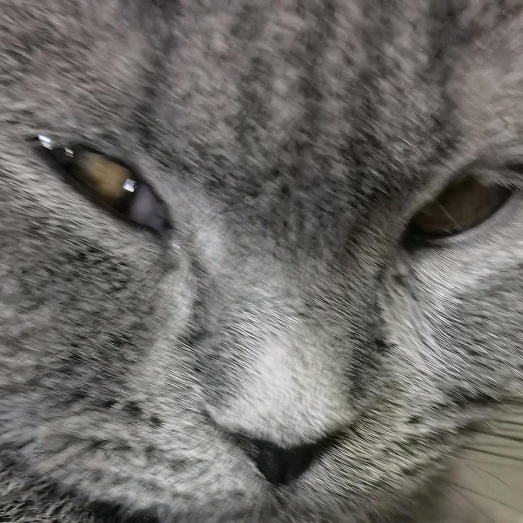 秒针