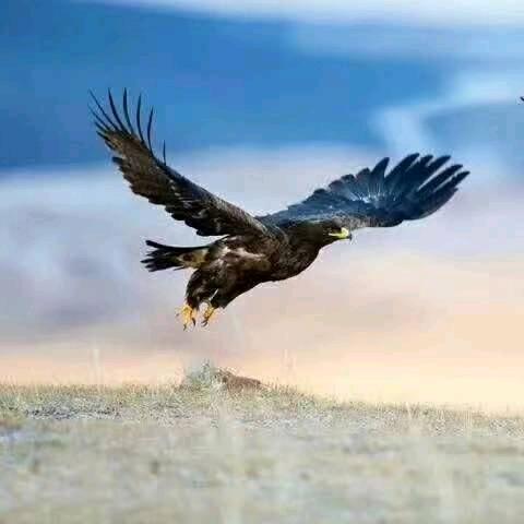 陈先生服装经营部