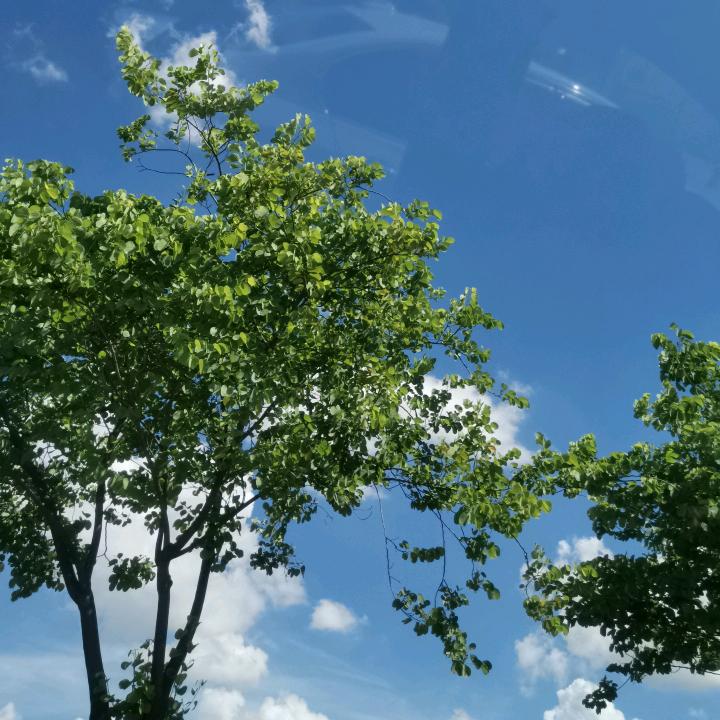 无以印弘观