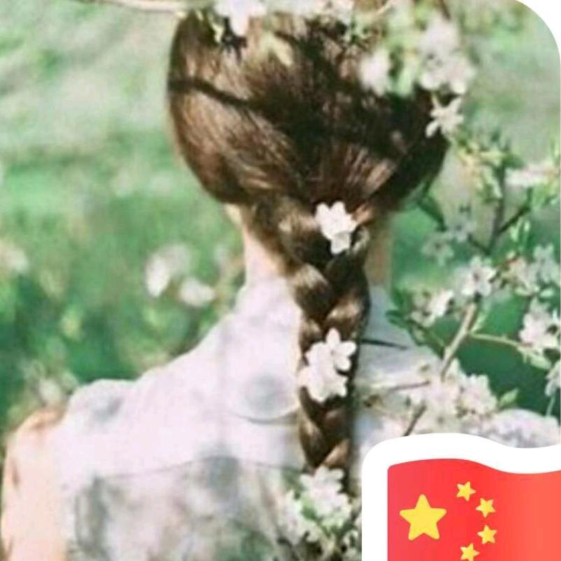 浮尘若梦