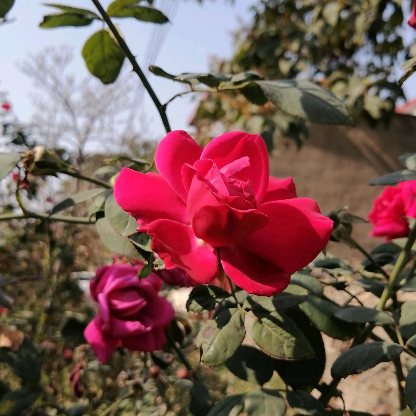 有一种累，叫没人懂