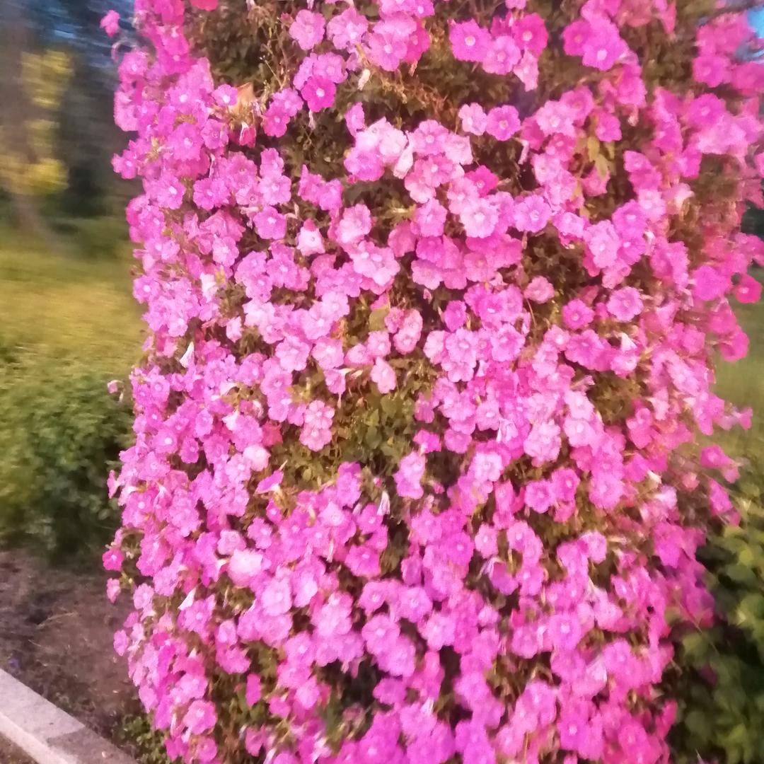 一一