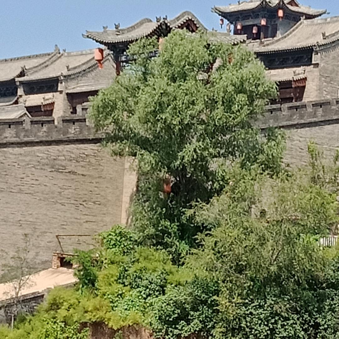 袜子姐