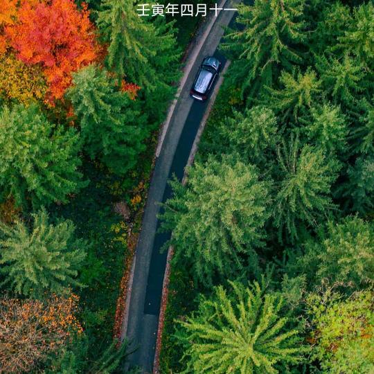 思前想后