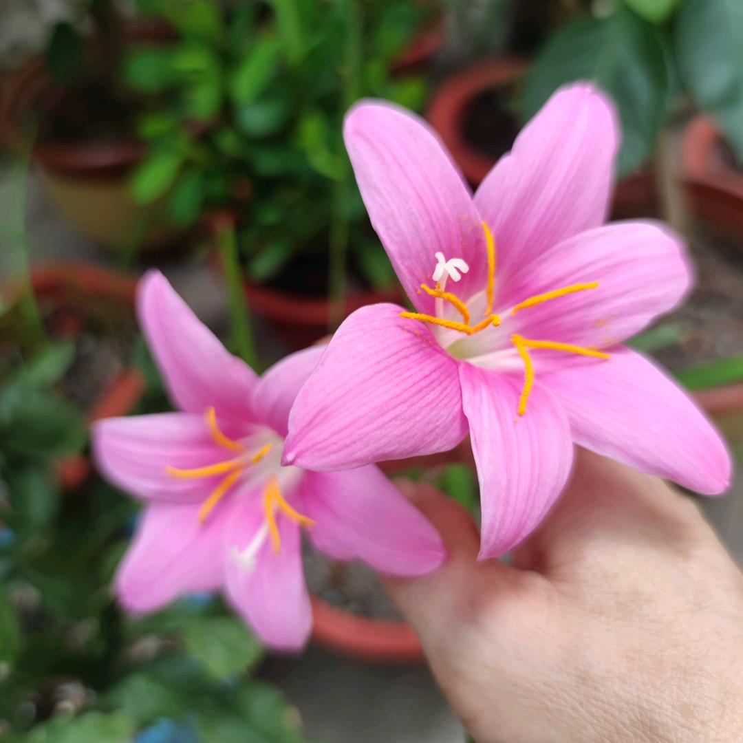 @爱雨