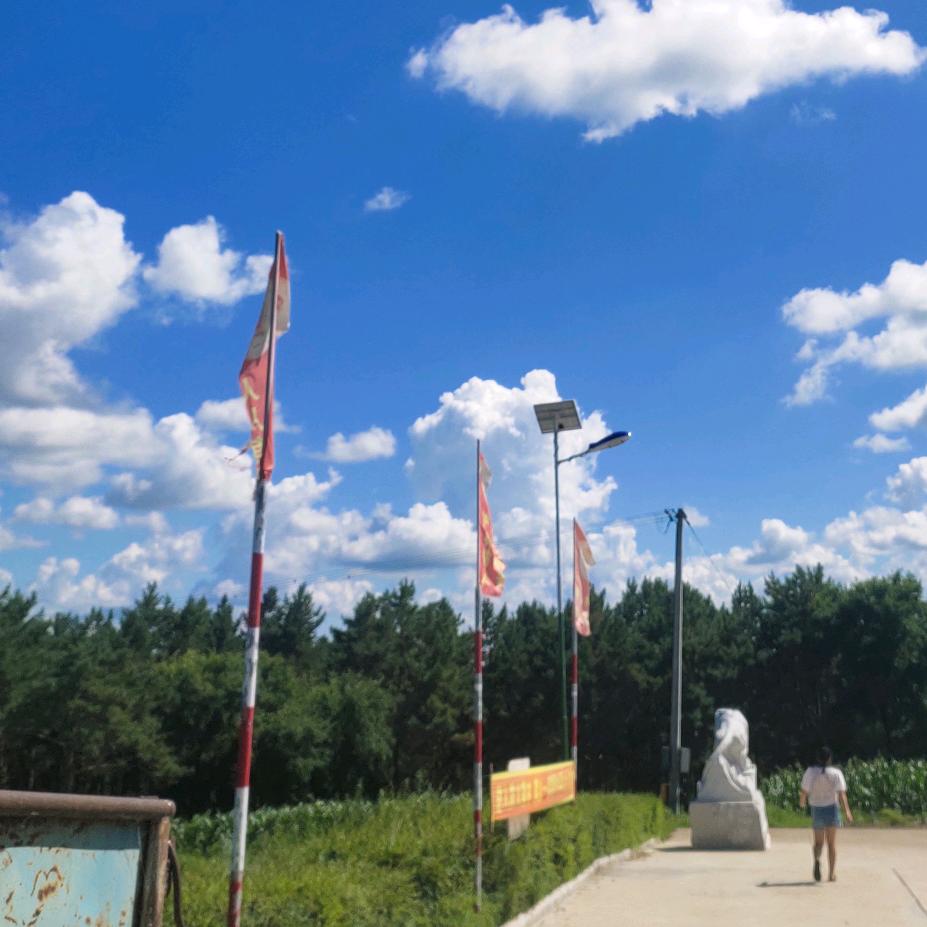 随缘宁可孤独也不将就