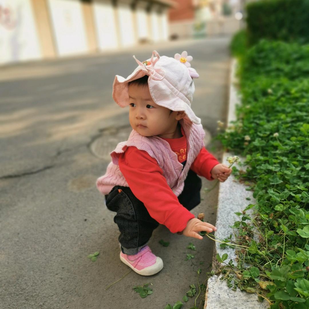 向晚如歌