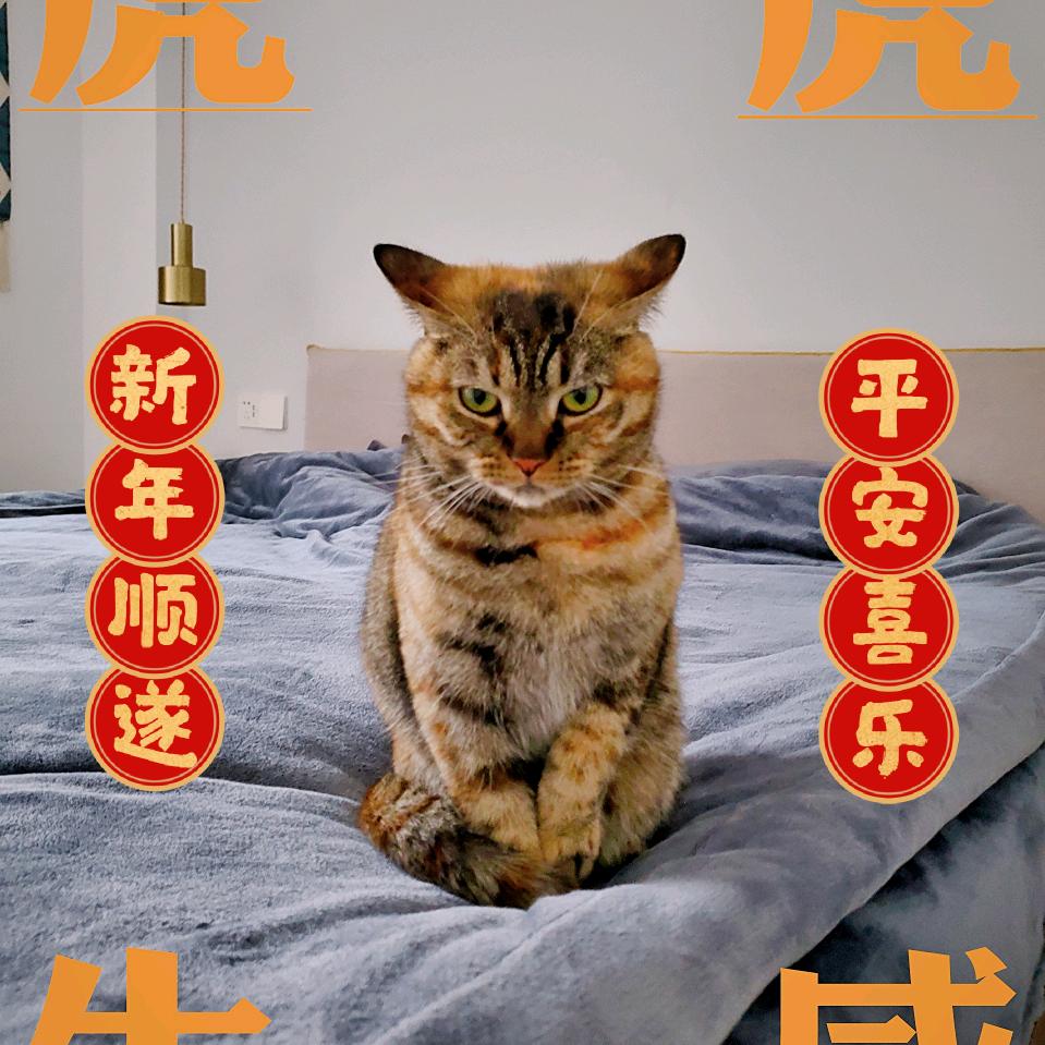白相濡1991头像