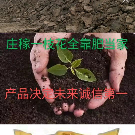 我就是我，不一样的烟火