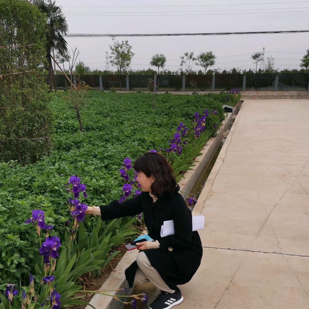 莹莹精选