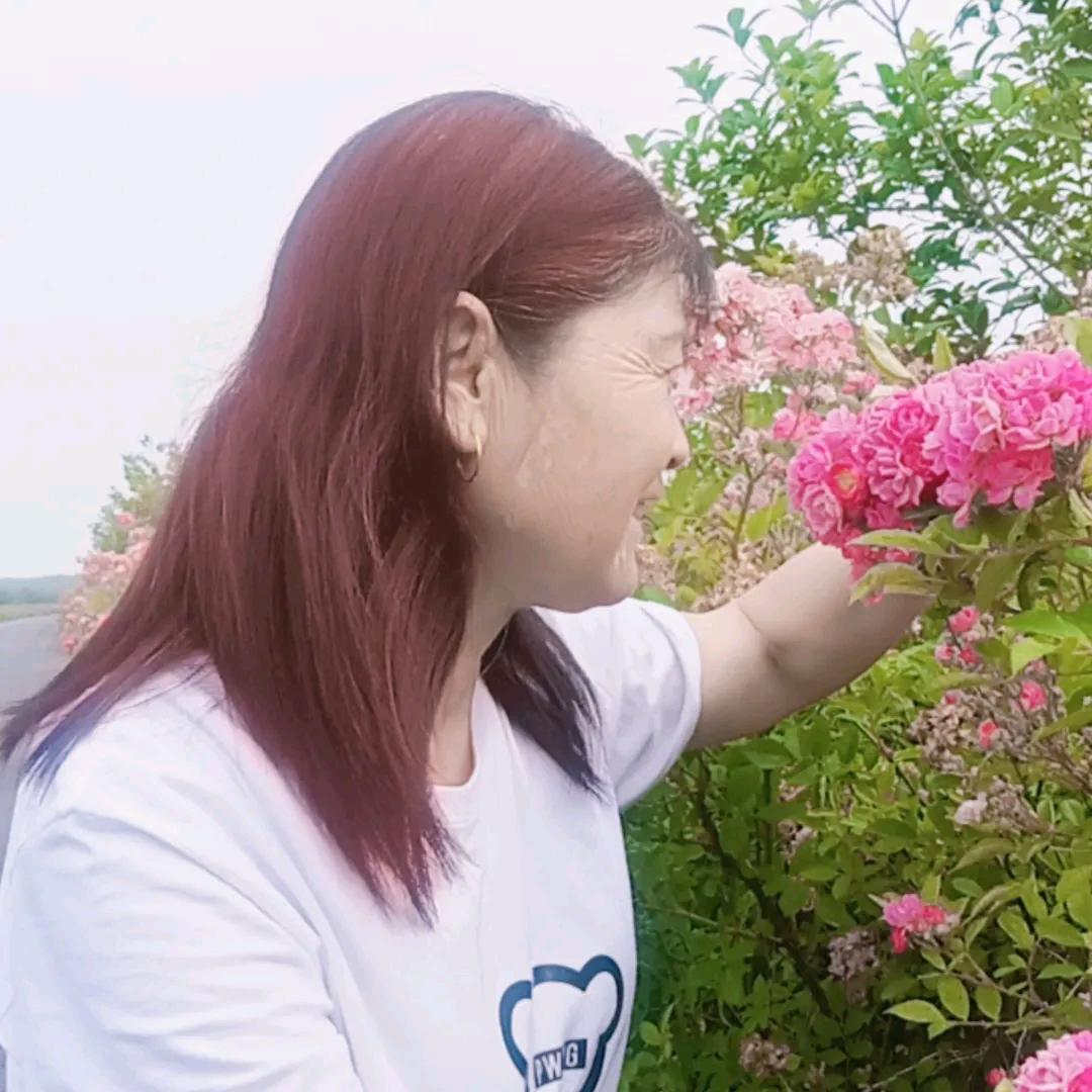 胡林霞67年羊《赞必回》