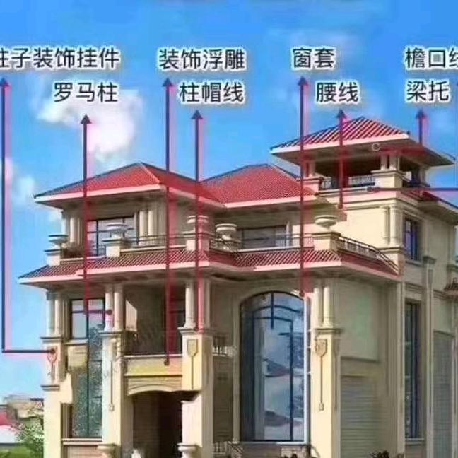 专业 农村自建别墅
