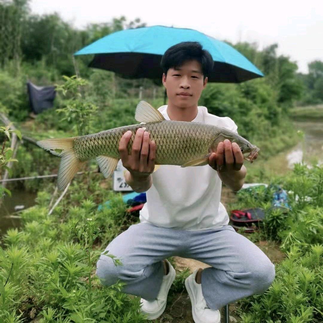 与小英的岁岁年年(小🐟鹰)