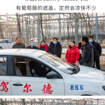 德尔驾校屈教练