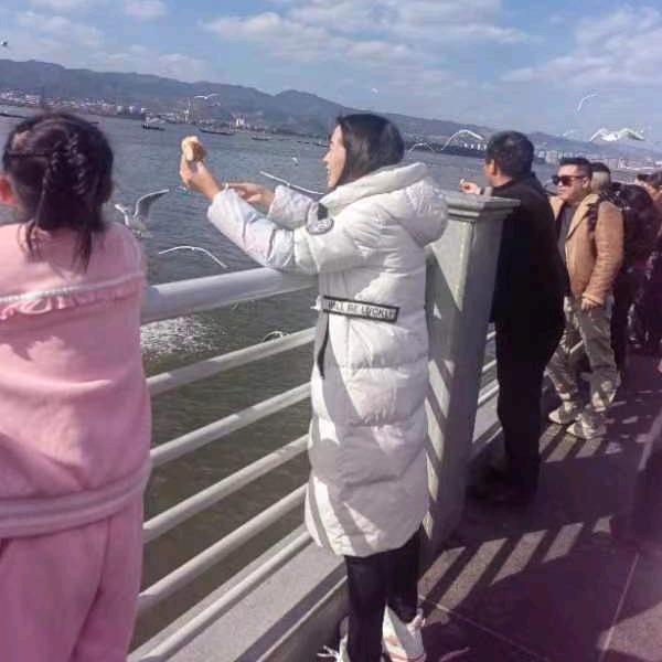 九哥演艺传媒夫人