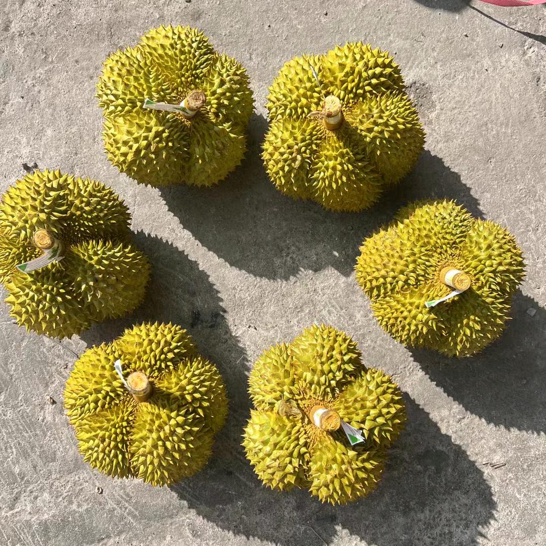 阿坤，榴莲屋