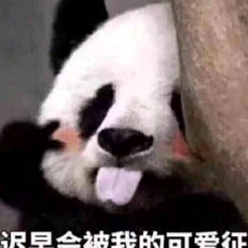 尽山依日白
