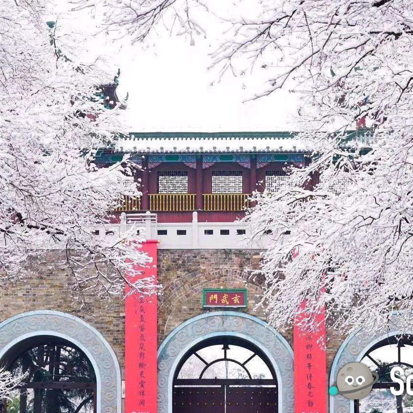 子欲养亲还在