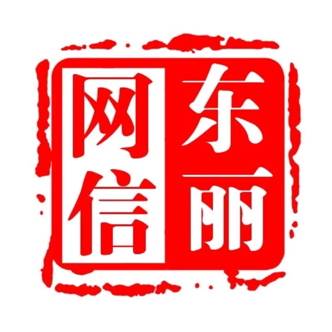 网信东丽