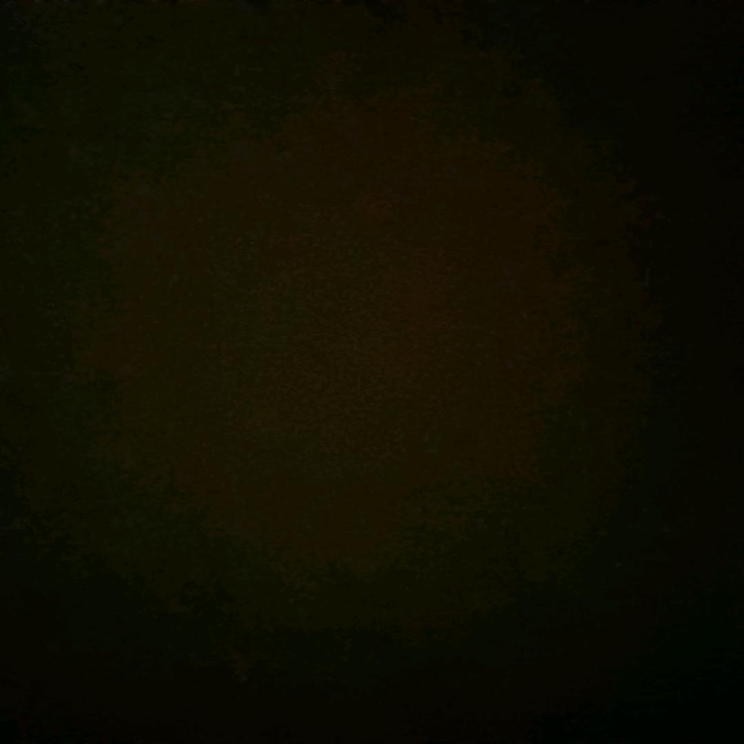 一颗小西柚 ヾ(✿ﾟ▽ﾟ)