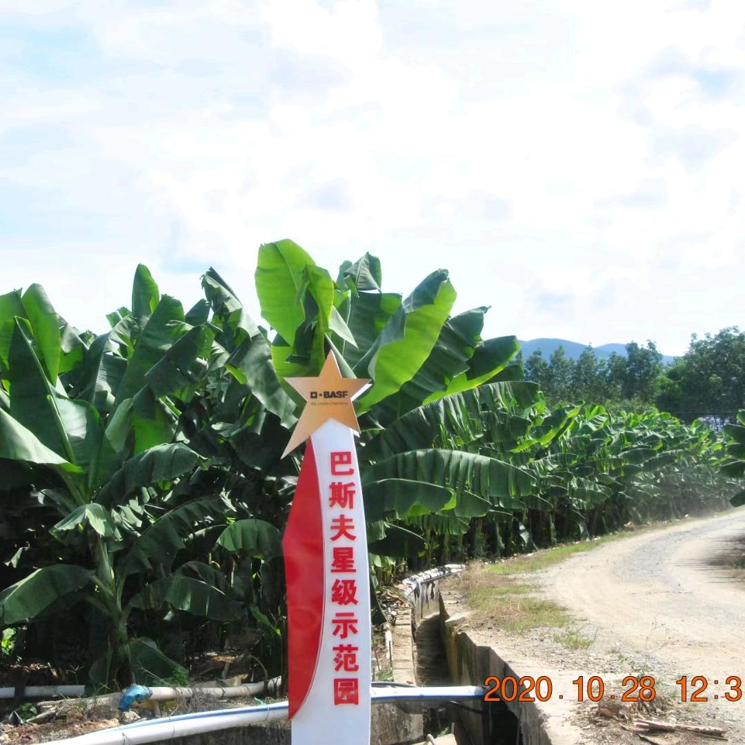 新鸿源农业科技