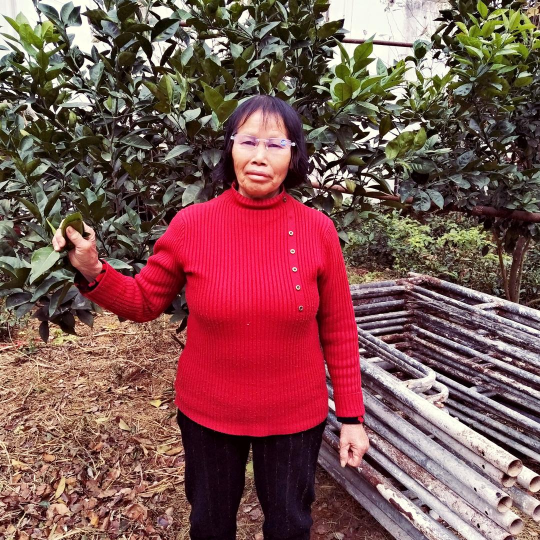 奶奶