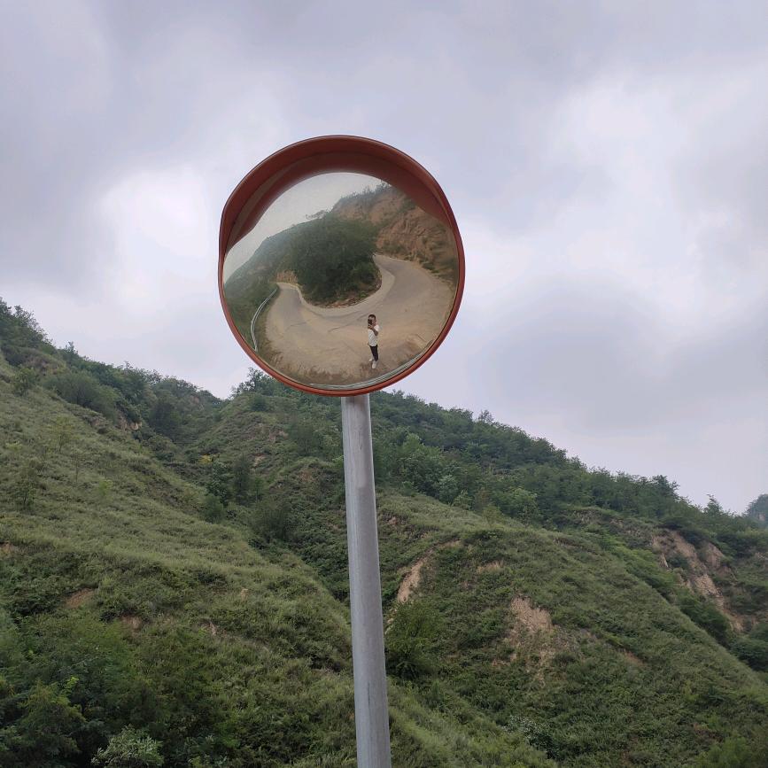 逗
