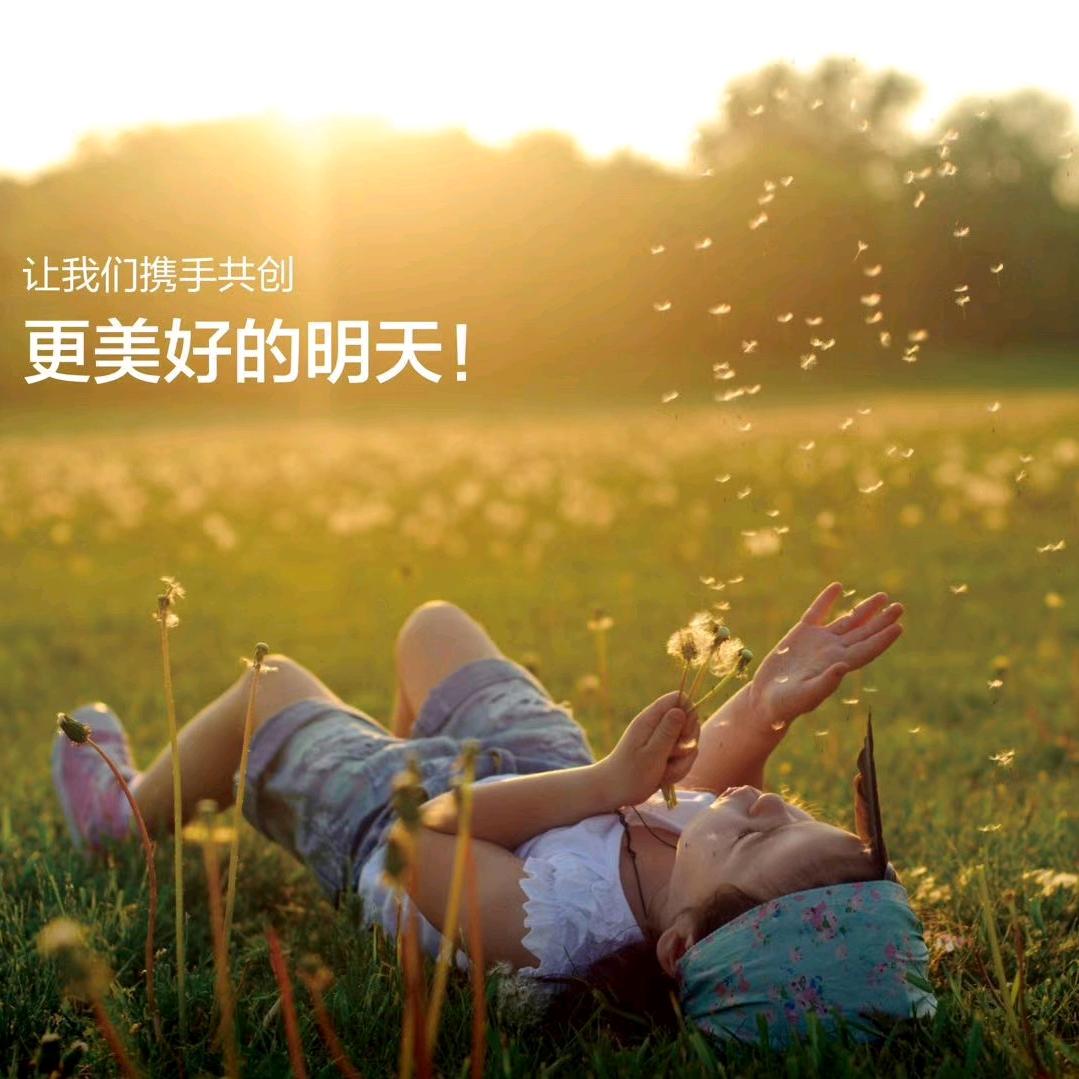 @奋斗的挖人