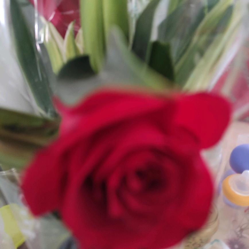 吉祥amln<拒绝私聊>