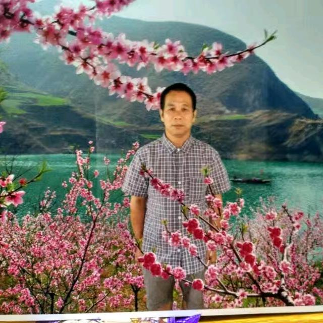 精武门陈真