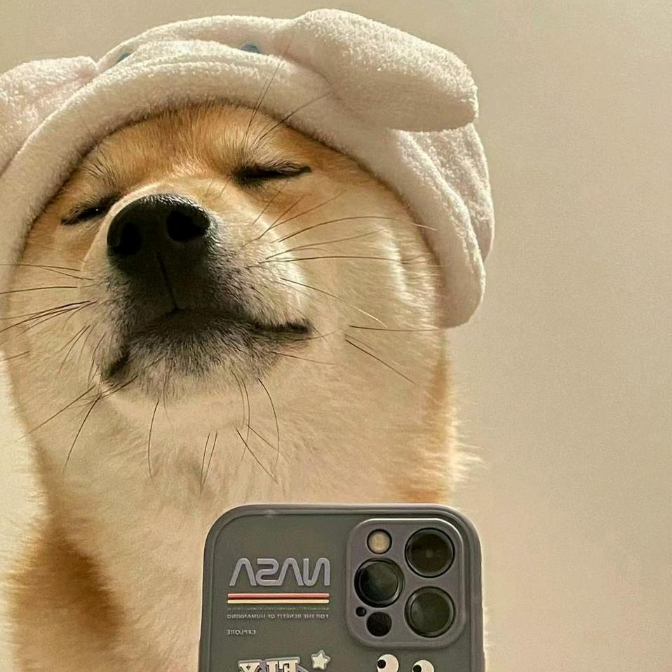 可乐没冰