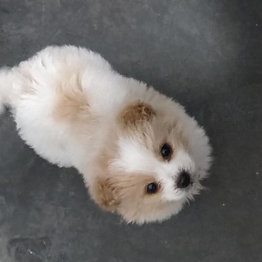 曾经最美