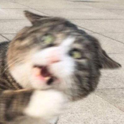 八月-
