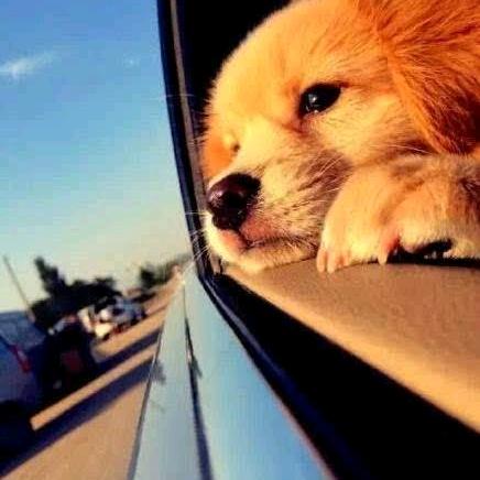 人生不过二两小酒酒