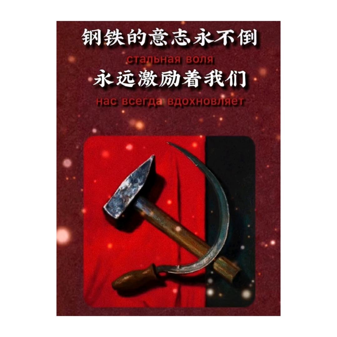 栋子