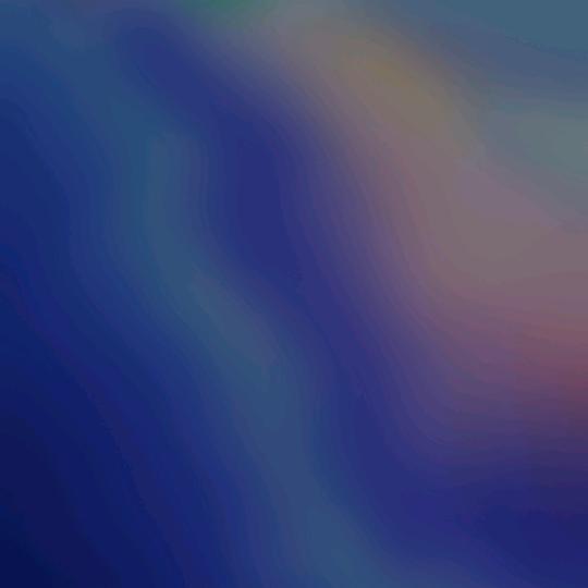 bdm