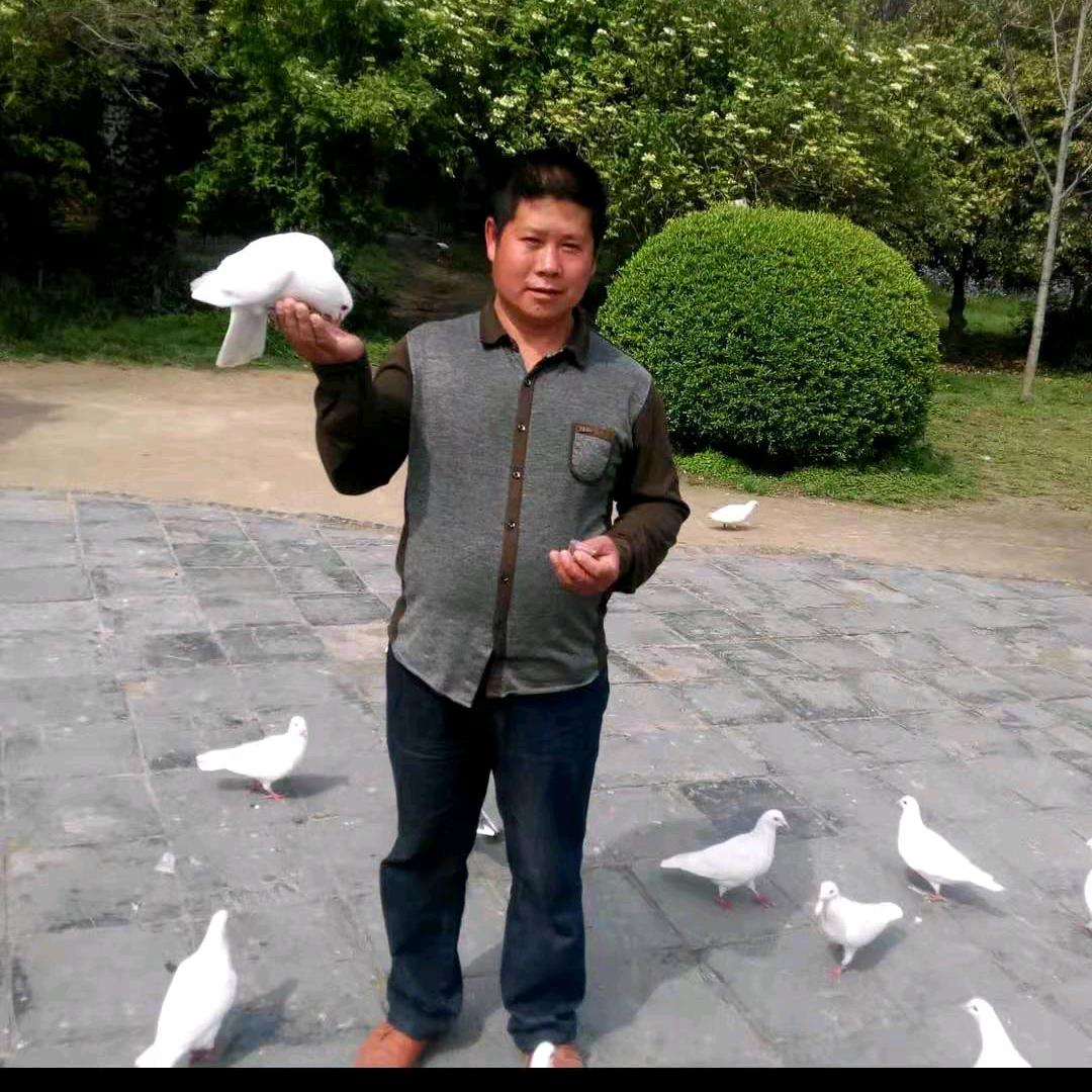 帝囚人
