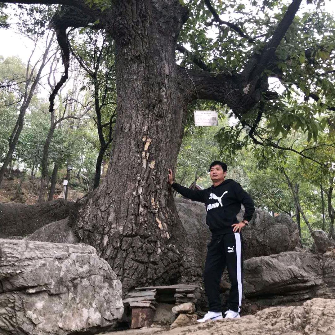 明天你是否依然