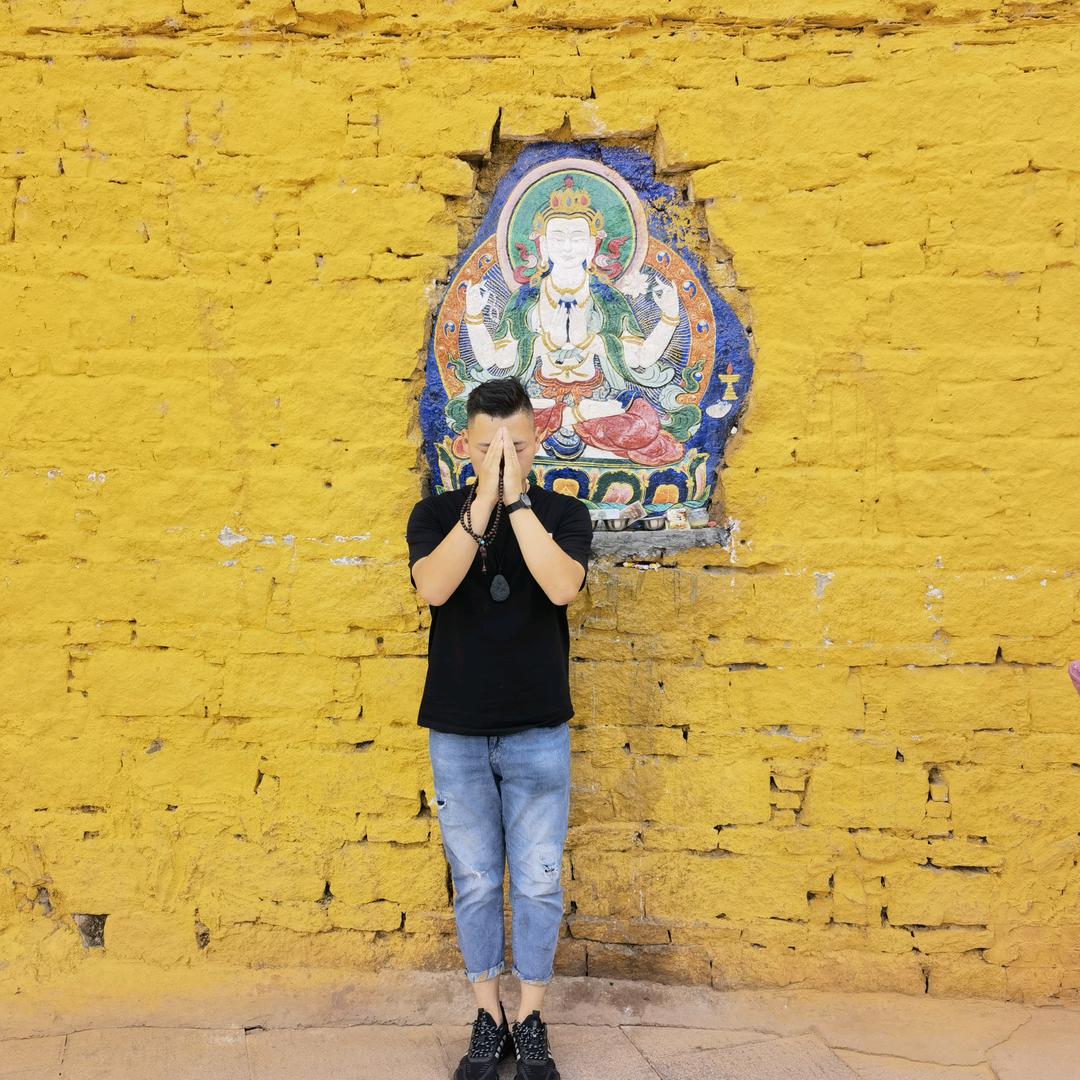 菩提   免费结缘