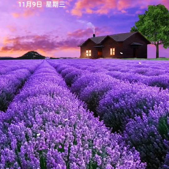 佳人