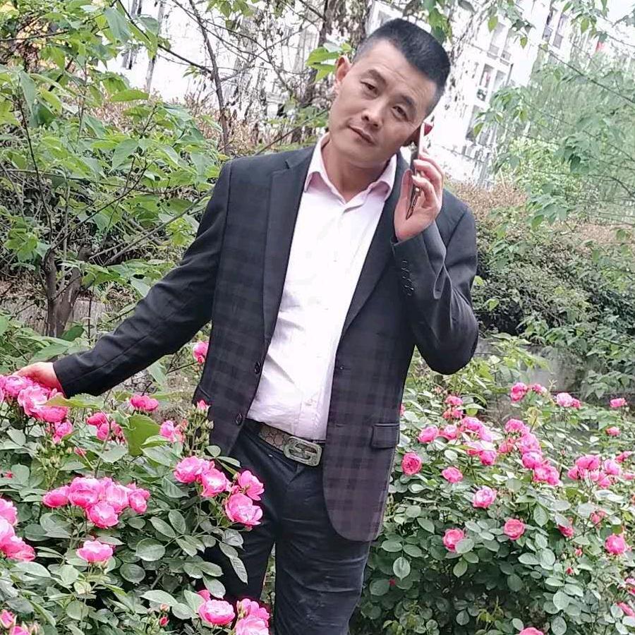 正月的哥