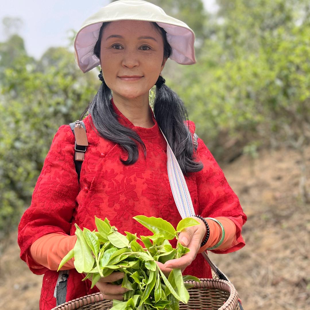 丰和悦茗