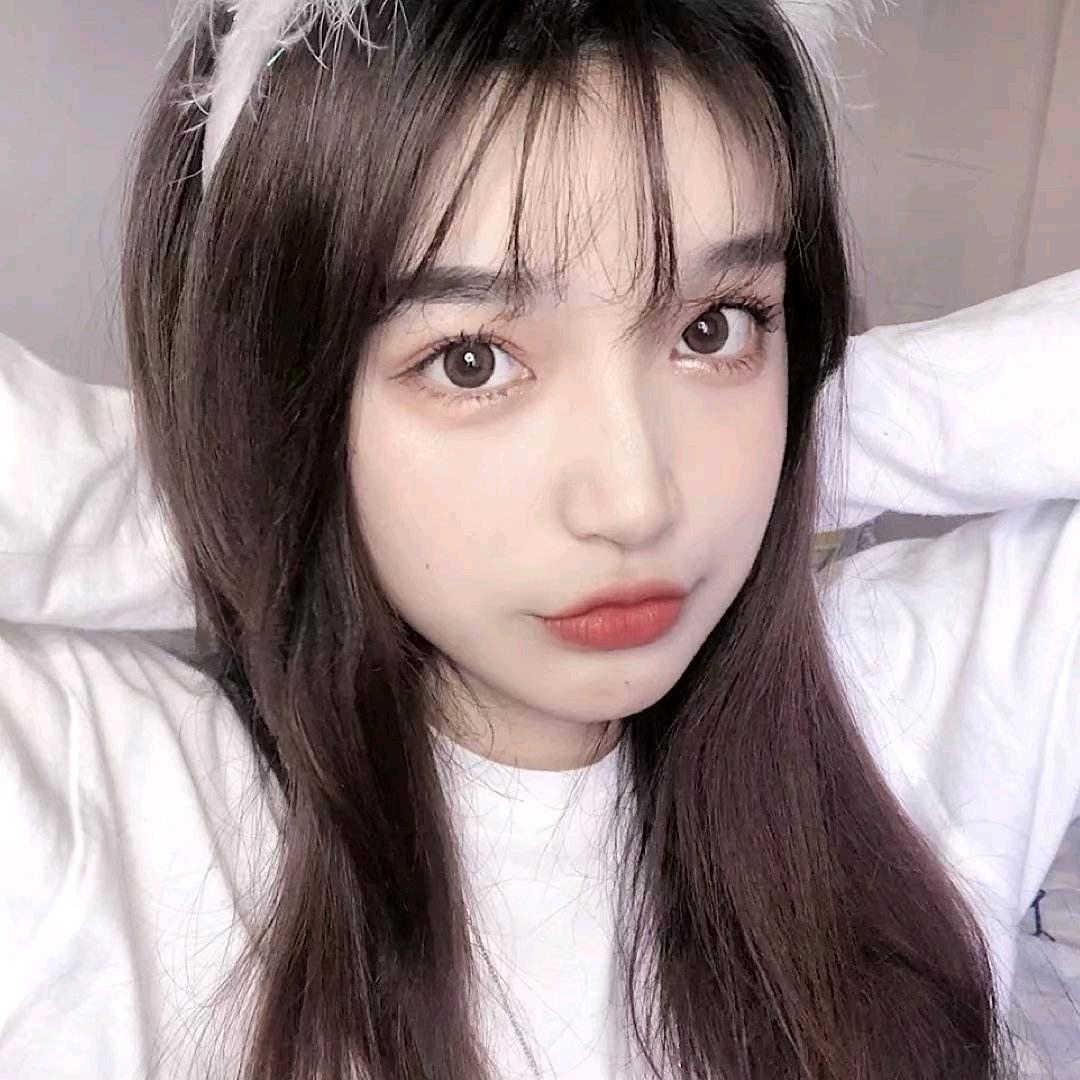 会飞的燕子