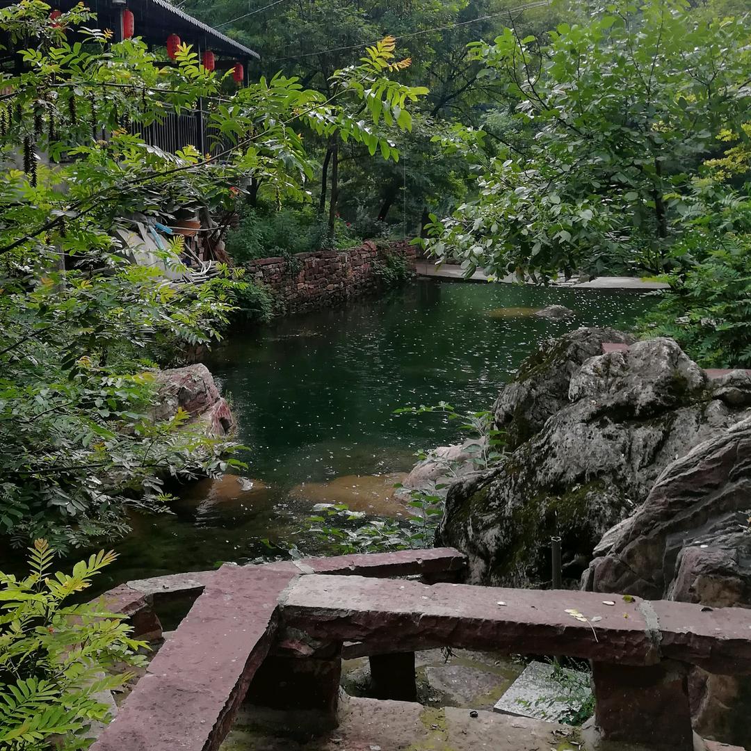 淡淡的未来