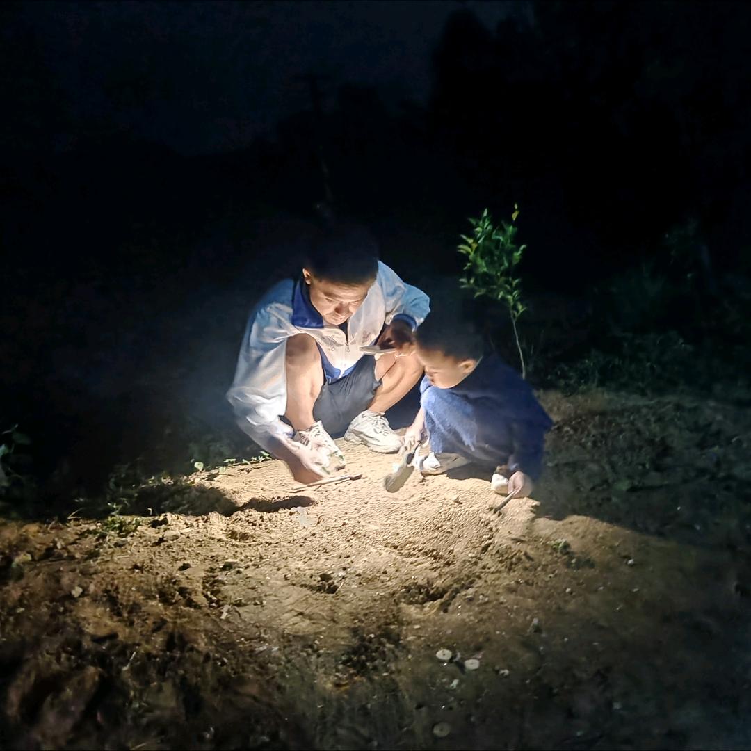 葛园生鲜水果企业店