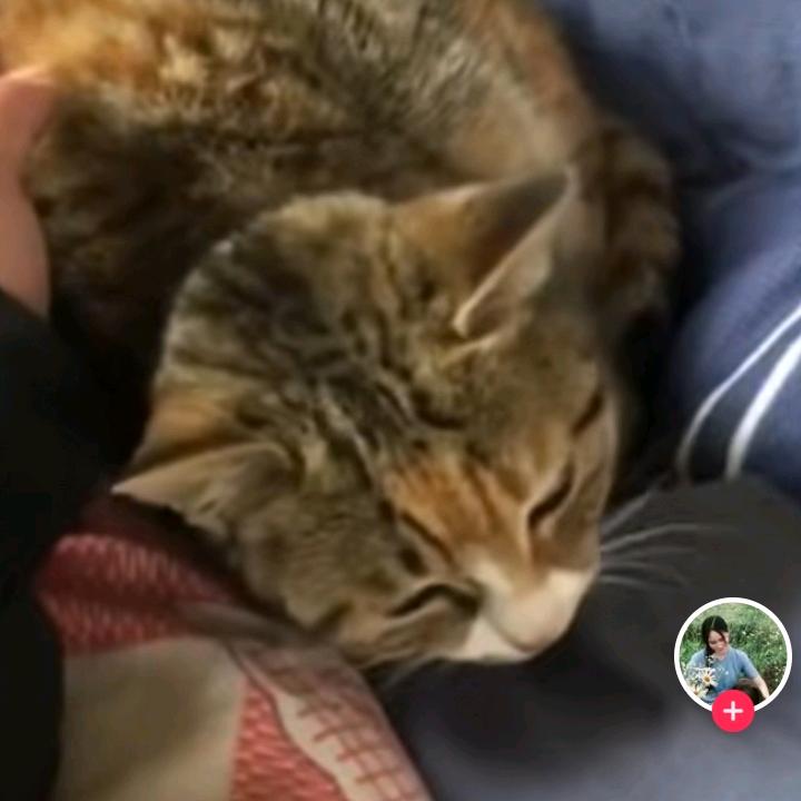 春风十里不如有你