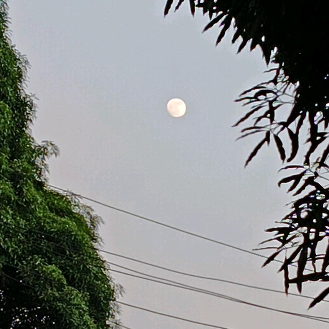 我叫（宝宝）看到你我很开心