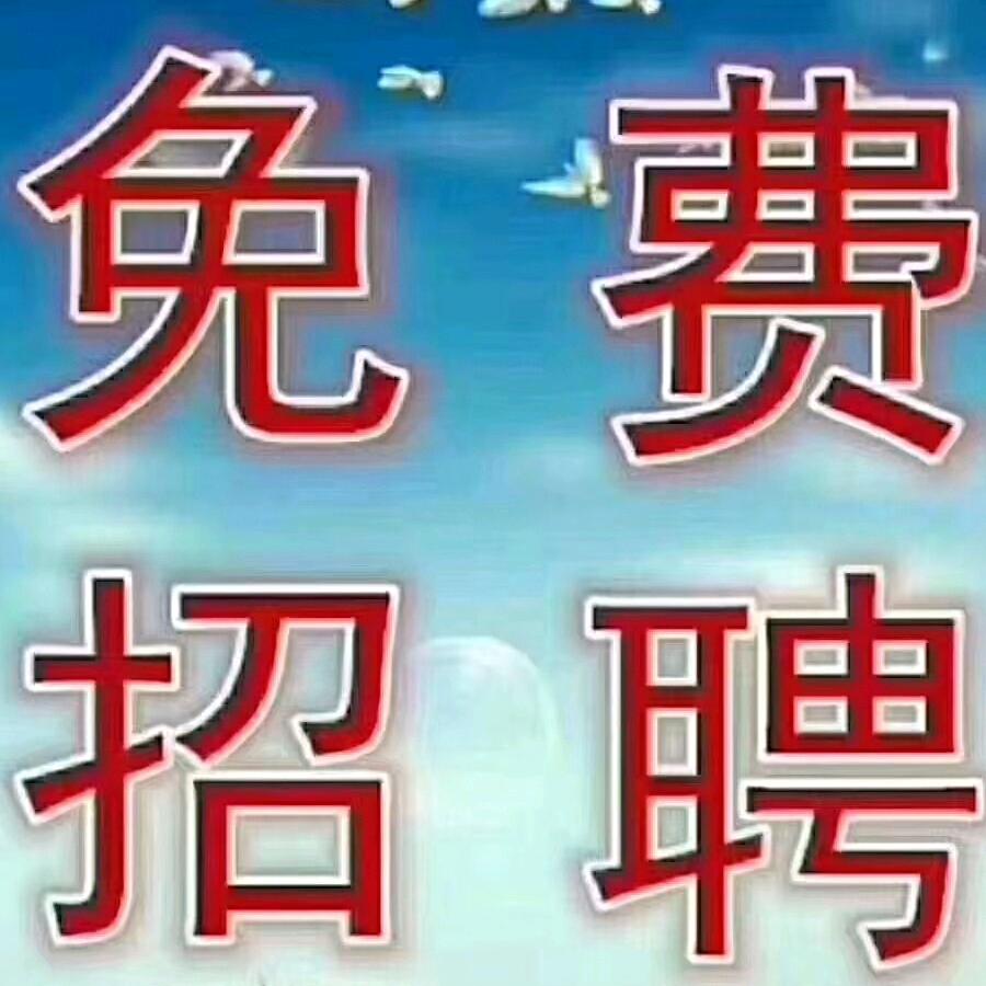 丁咚（俸华物业）
