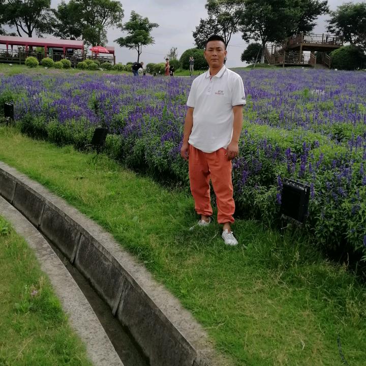 龙哥