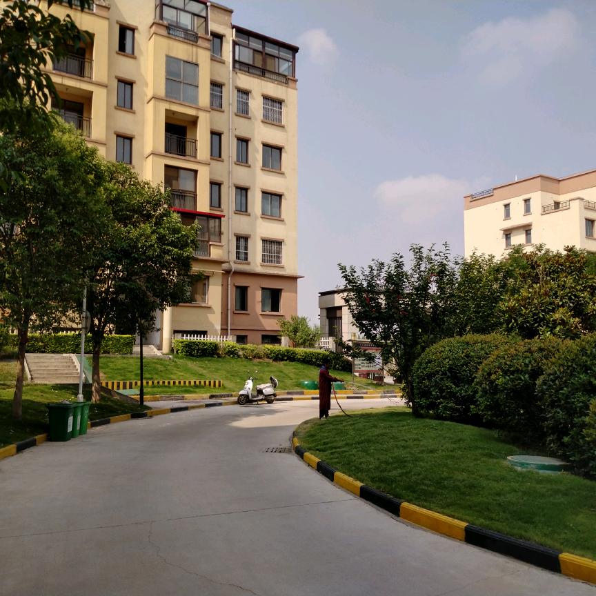 九川国际城李婷